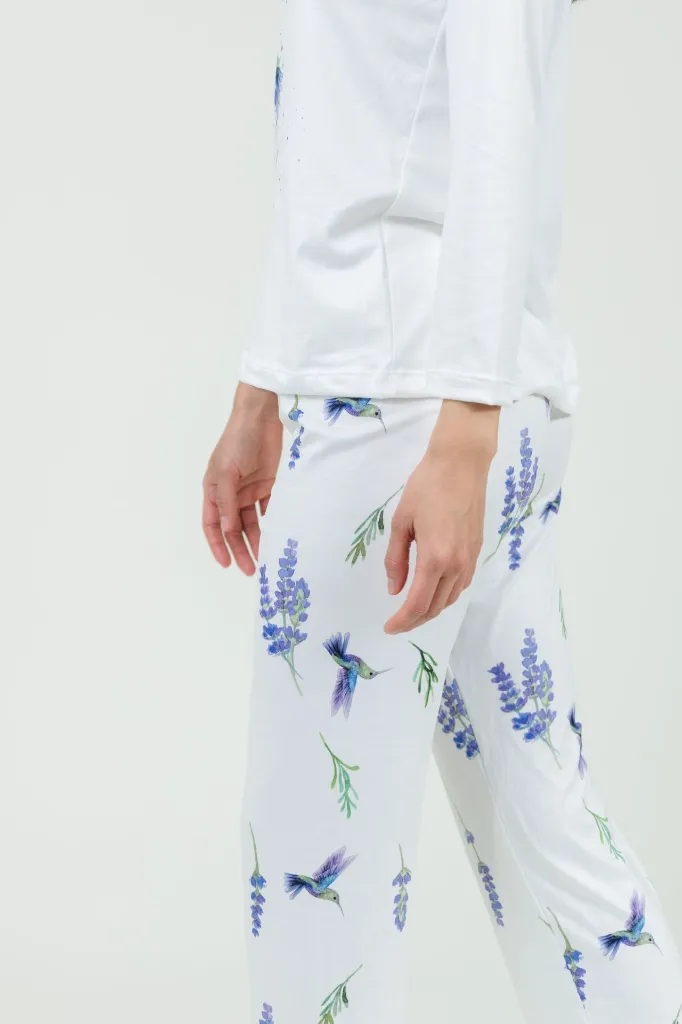 Pij colibri de lado.webp